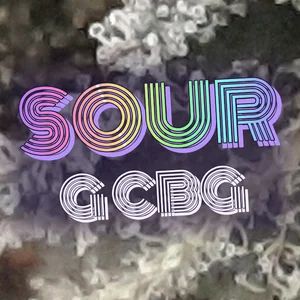 Sour G CBG Cannabis Strain