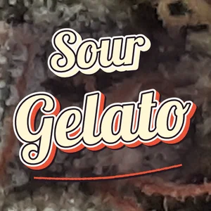 Sour Gelato Cannabis Strain