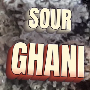 Sour Ghani Cannabis Strain