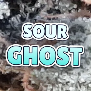 Sour Ghost Cannabis Strain