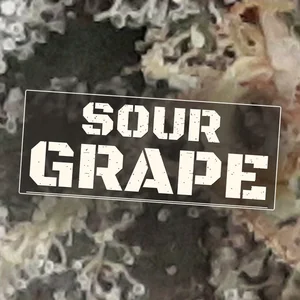 Sour Grape Cannabis Strain