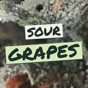 Sour Grapes Cannabis Strain