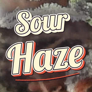 Sour Haze Cannabis Strain