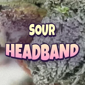 Sour Headband Cannabis Strain