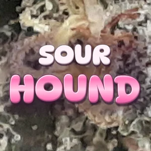 Sour Hound Cannabis Strain