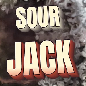 Sour Jack Cannabis Strain