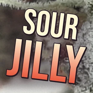 Sour Jilly Cannabis Strain