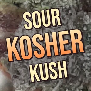 Sour Kosher Kush Cannabis Strain