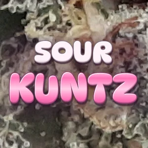 Sour Kuntz Cannabis Strain