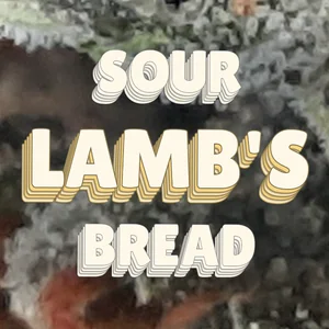 Sour Lamb's Bread Cannabis Strain