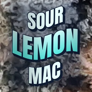 Sour Lemon MAC Cannabis Strain