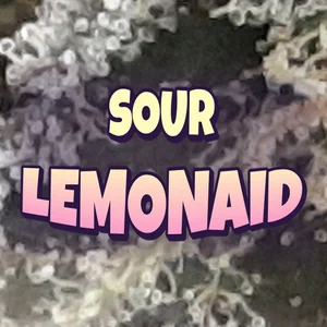 Sour Lemonaid Cannabis Strain