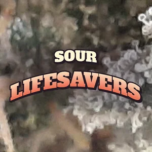 Sour Lifesavers Cannabis Strain