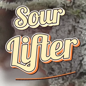Sour Lifter Cannabis Strain
