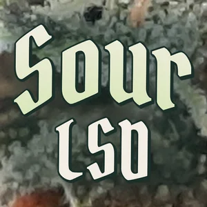 Sour LSD Cannabis Strain