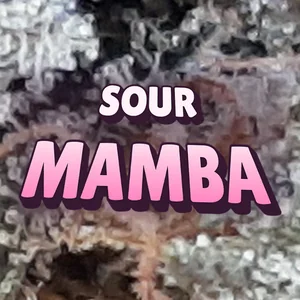 Sour Mamba Cannabis Strain