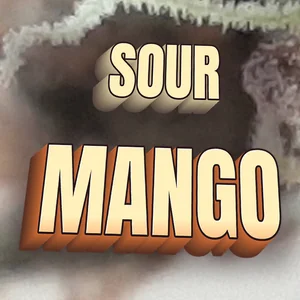 Sour Mango Cannabis Strain