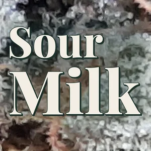 Sour Milk Cannabis Strain