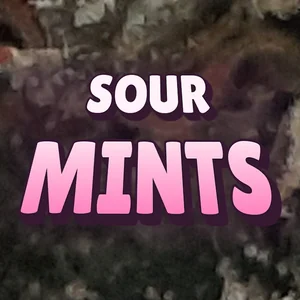 Sour Mints Cannabis Strain