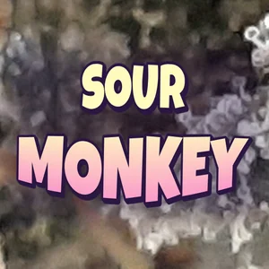 Sour Monkey Cannabis Strain