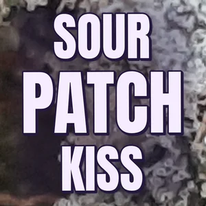 Sour Patch Kiss Cannabis Strain
