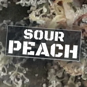 Sour Peach Cannabis Strain