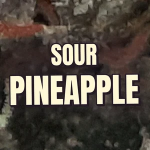 Sour Pineapple Cannabis Strain