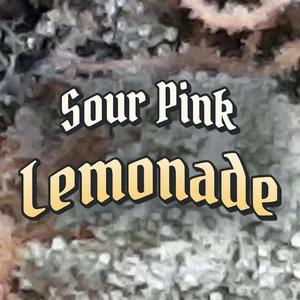 Sour Pink Lemonade Cannabis Strain