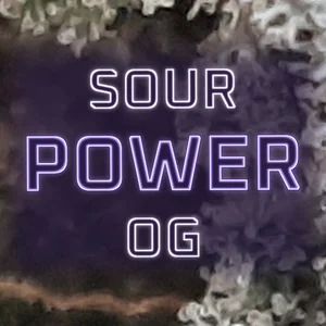 Sour Power OG Cannabis Strain