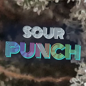 Sour Punch Cannabis Strain