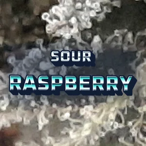 Sour Raspberry Cannabis Strain