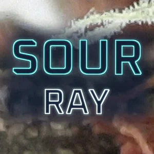 Sour Ray Cannabis Strain