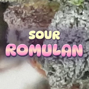 Sour Romulan Cannabis Strain