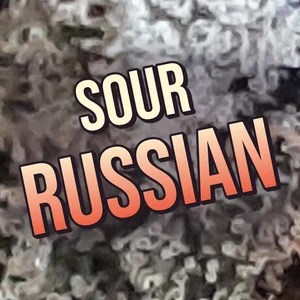 Sour Russian Cannabis Strain