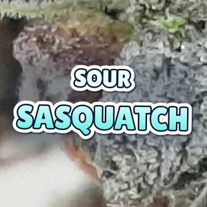 Sour Sasquatch Cannabis Strain