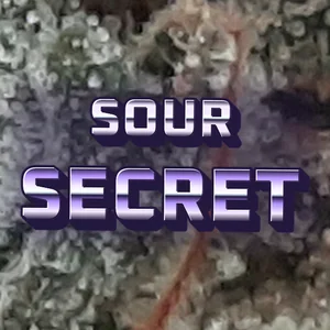 Sour Secret Cannabis Strain