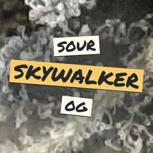 Sour Skywalker OG Cannabis Strain