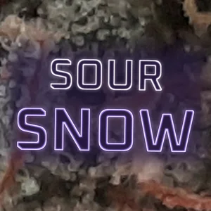 Sour Snow Cannabis Strain
