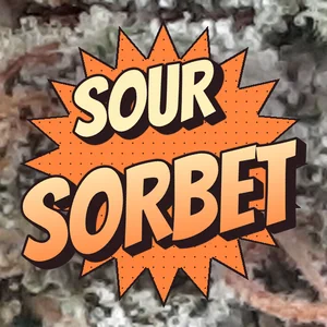 Sour Sorbet Cannabis Strain