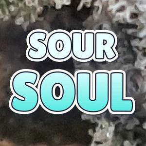 Sour Soul Cannabis Strain