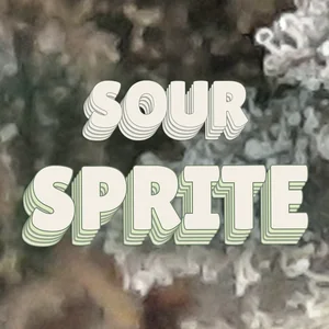 Sour Sprite Cannabis Strain