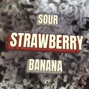 Sour Strawberry Banana Cannabis Strain