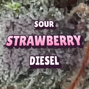 Sour Strawberry Diesel Cannabis Strain