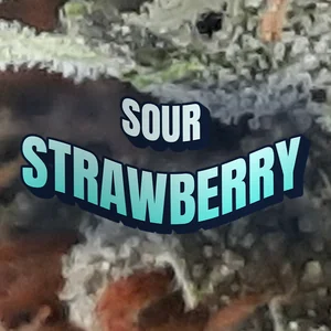 Sour Strawberry Cannabis Strain
