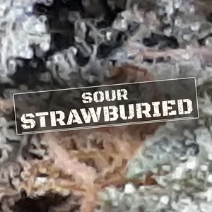 Sour StrawburieD Cannabis Strain