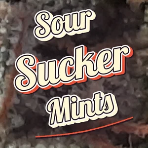 Sour Sucker Mints Cannabis Strain