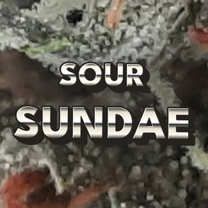 Sour Sundae Cannabis Strain