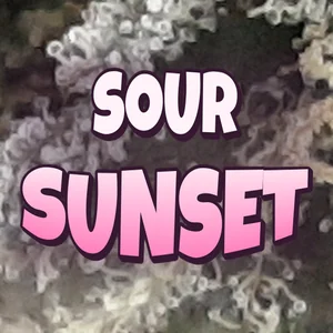 Sour Sunset Cannabis Strain
