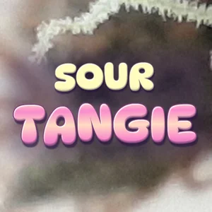 Sour Tangie Cannabis Strain