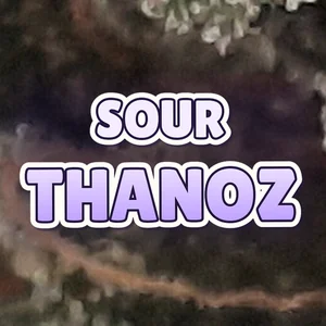 Sour Thanoz Cannabis Strain